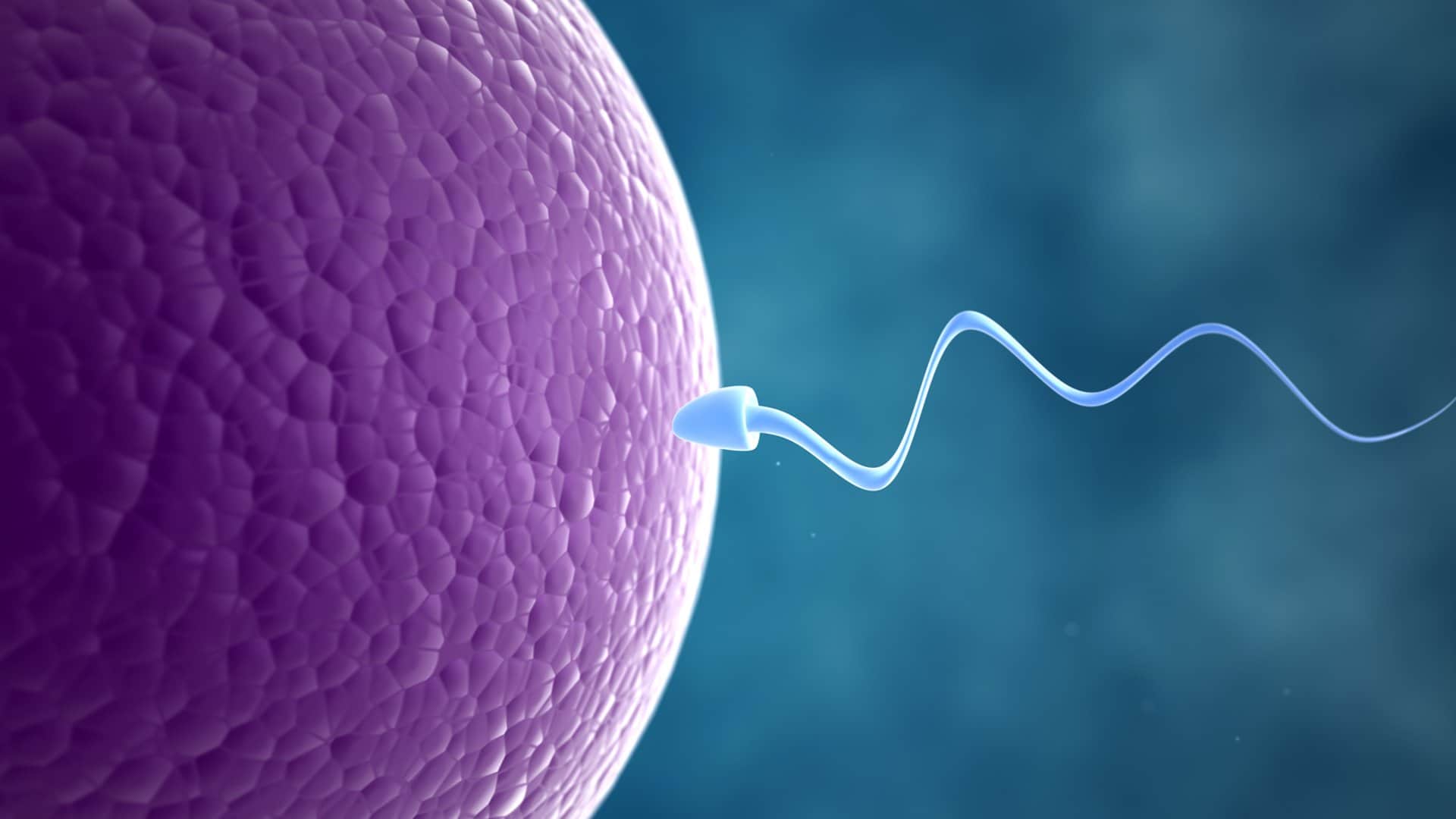 Gynecology-slide-4